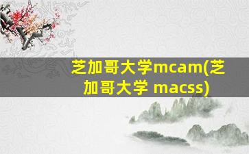 芝加哥大学mcam(芝加哥大学 macss)